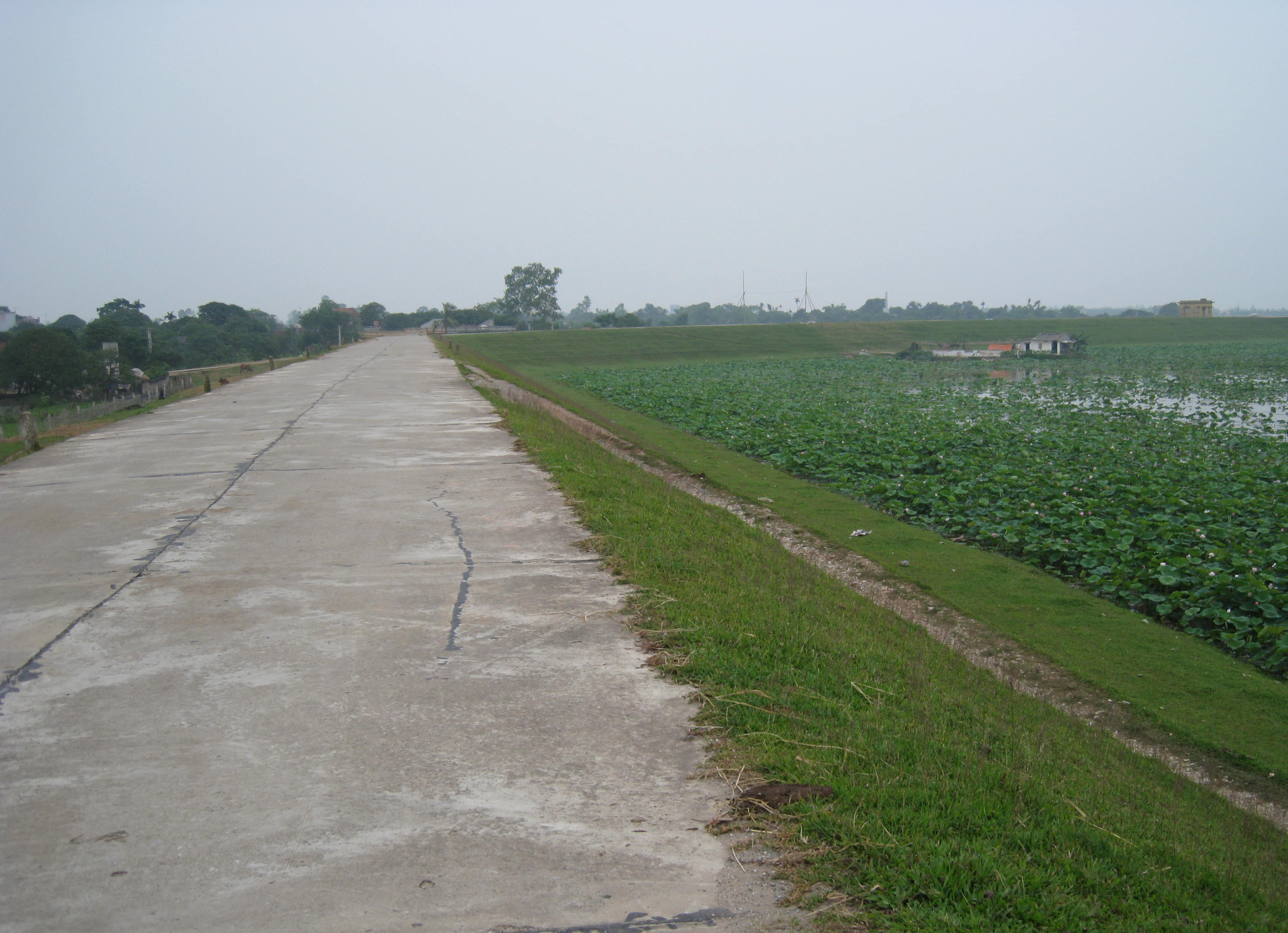 Bat ga trai cuong buc ban gai ngay buoi hen dau tien hinh anh