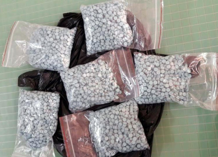 Co gai mang 6.000 thuoc lac anh 2