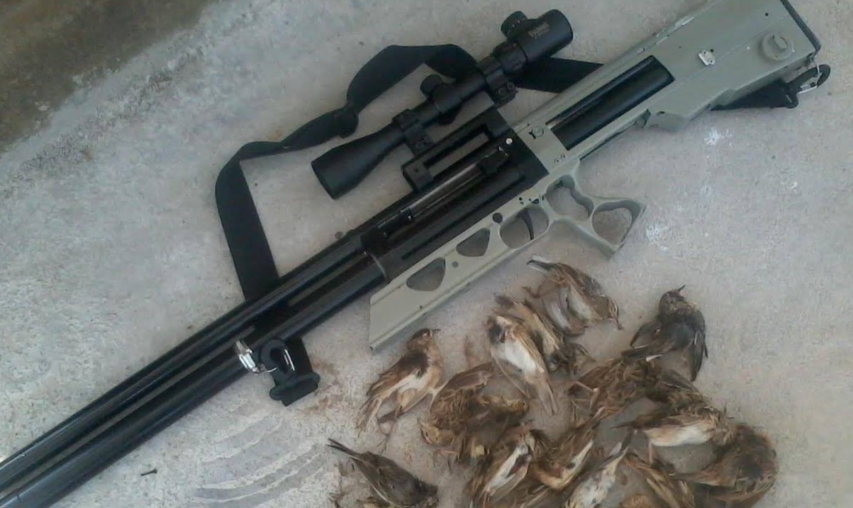 Be trai 10 tuoi bi ban trung dau khi dang ngoi hoc hinh anh