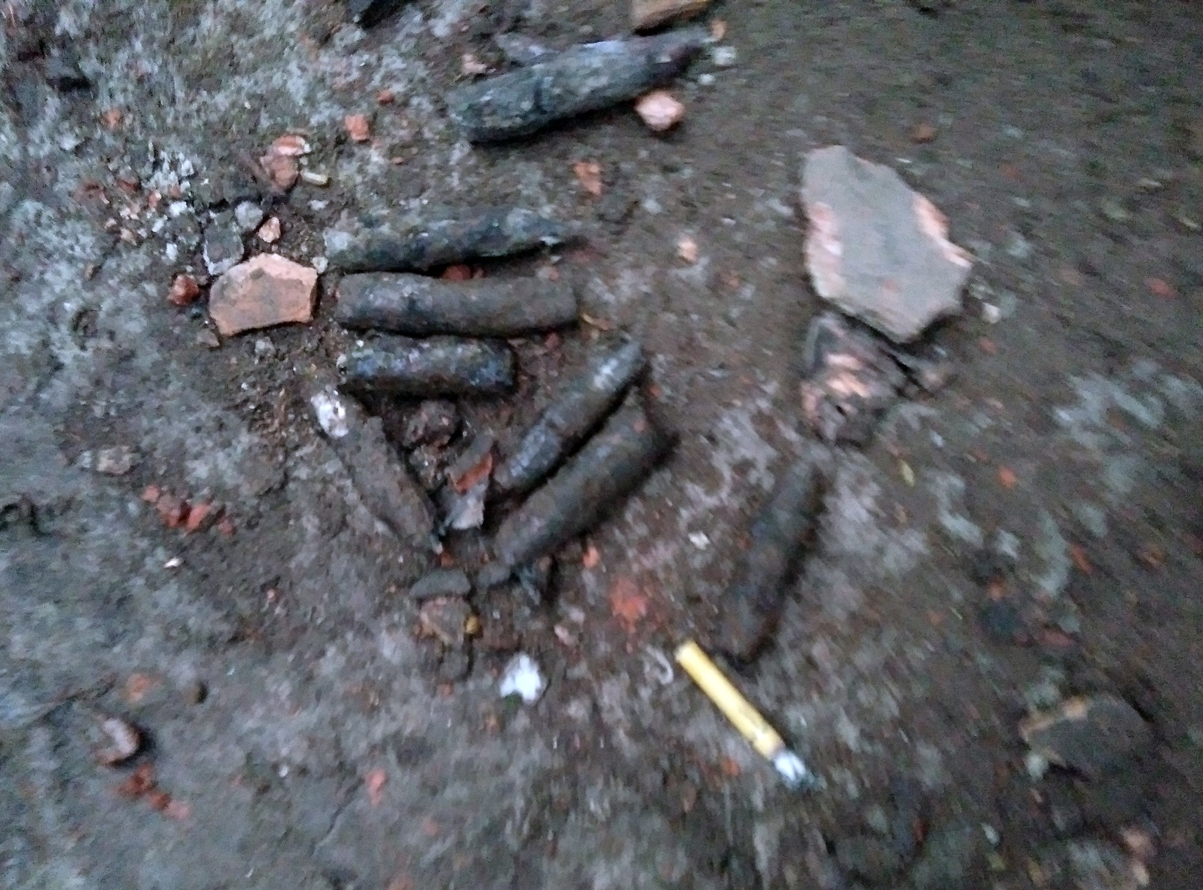 No lon o Yen Phong anh 1