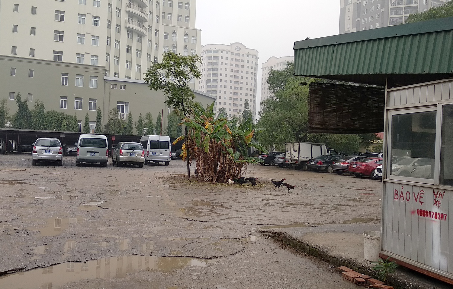 Chủ tịch huyện Quốc Oai tử vong ảnh 2 Chu tich huyen Quoc Oai tu vong anh 2