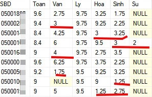'Co the trung cau giam dinh hinh su ve nghi van diem thi o Ha Giang' hinh anh