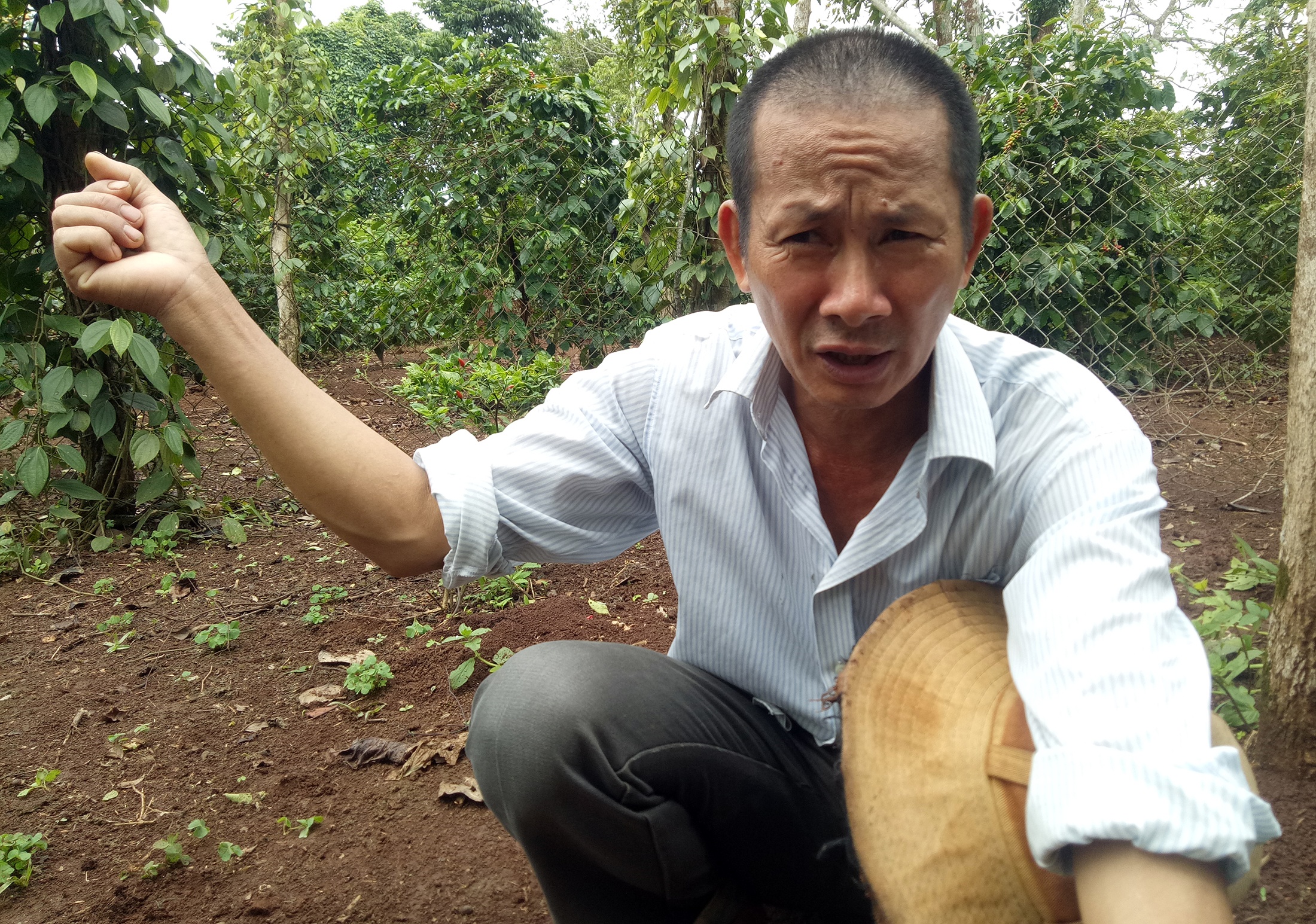 Trom len vao chuong cat 4 chan bo trong dem hinh anh