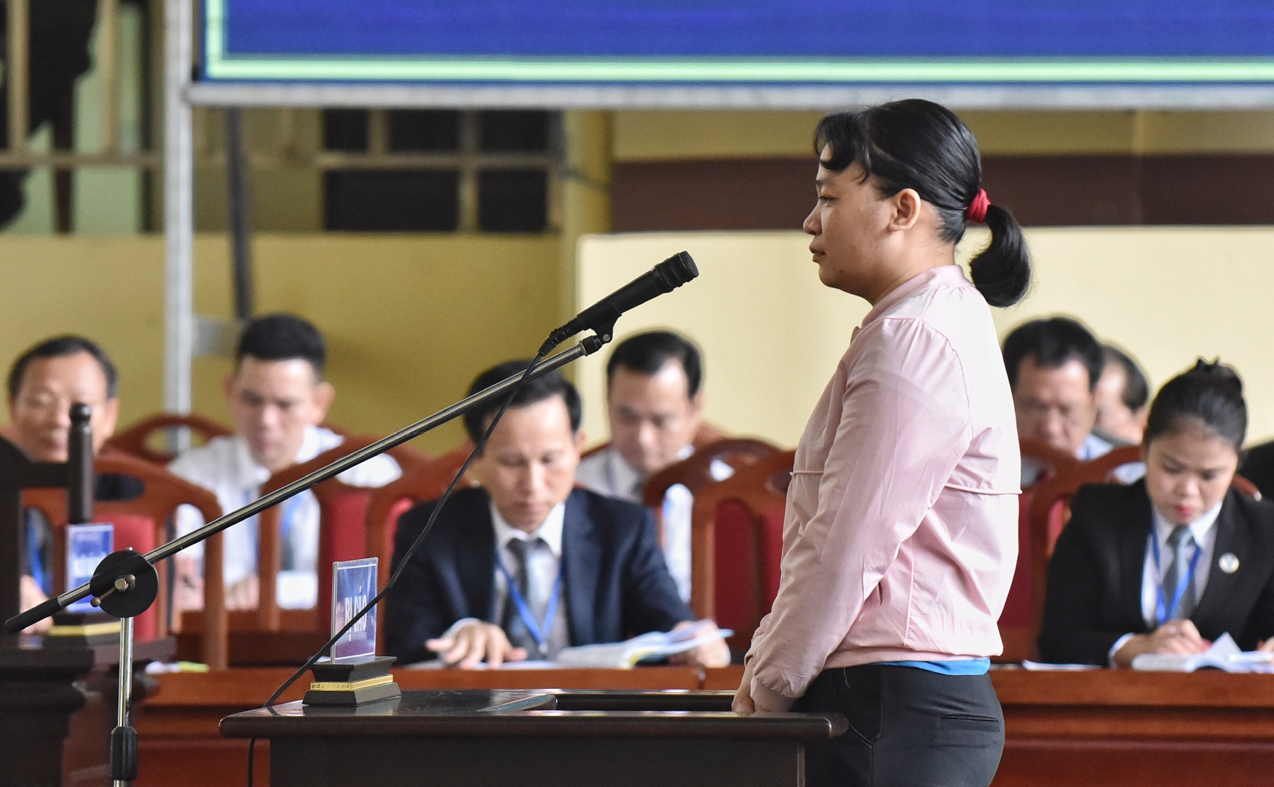 Xét xử Phan Văn Vĩnh, Nguyễn Thanh Hóa ảnh 3 Xet xu Phan Van Vinh, Nguyen Thanh Hoa anh 3