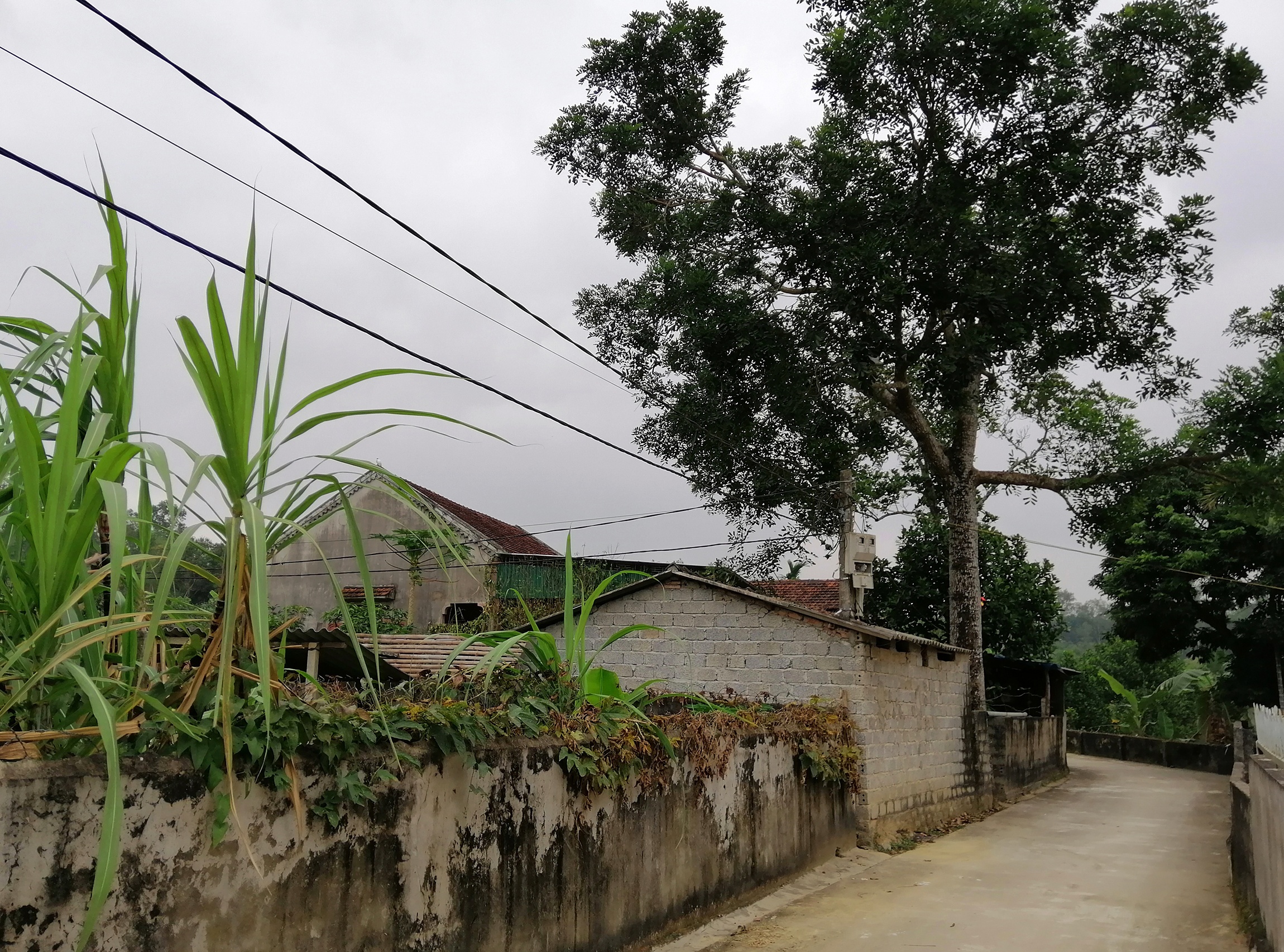 Cua co tai xe taxi o san My Dinh anh 1