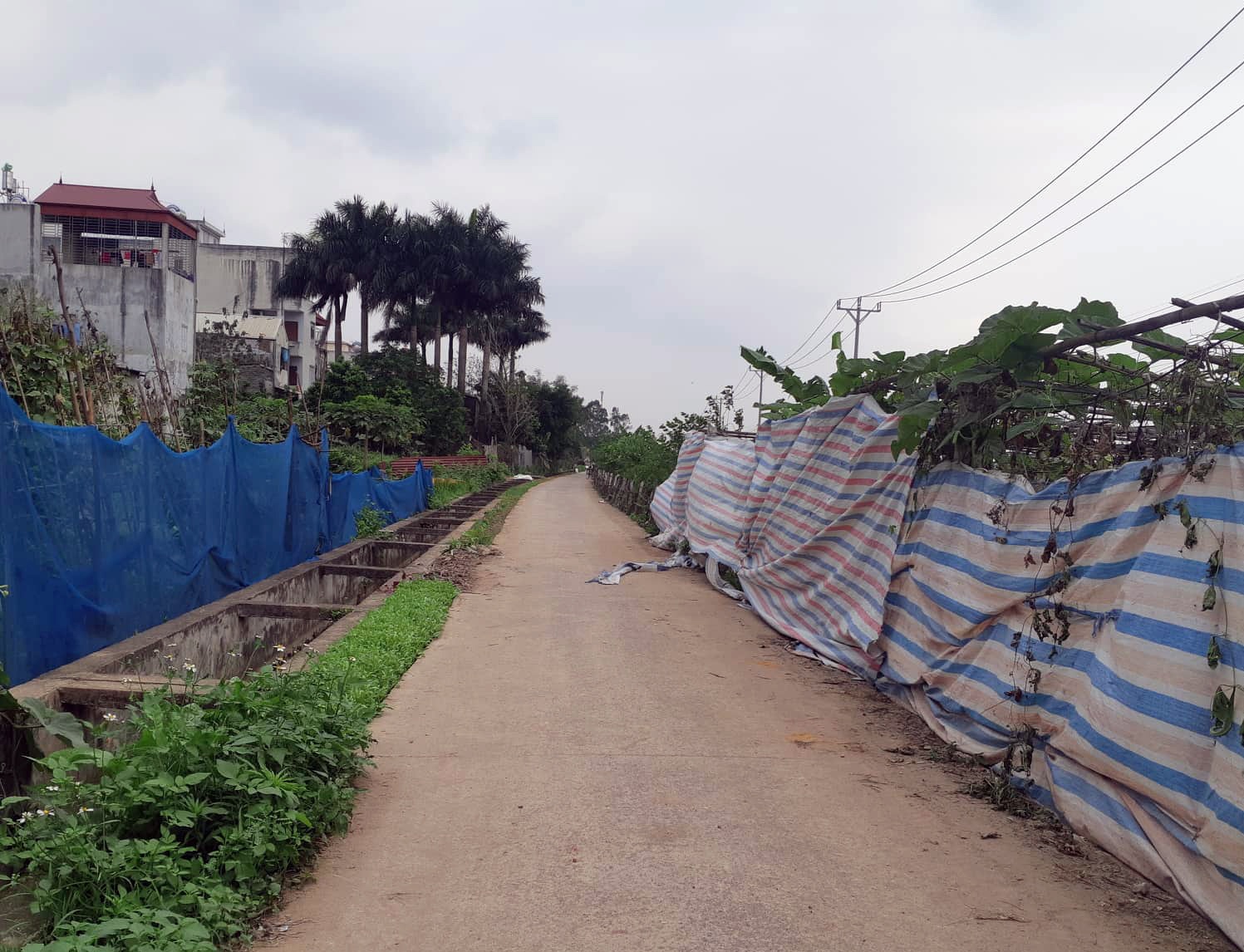 Giết phụ nữ ở Hà Nội ảnh 1 Giet phu nu o Ha Noi anh 1