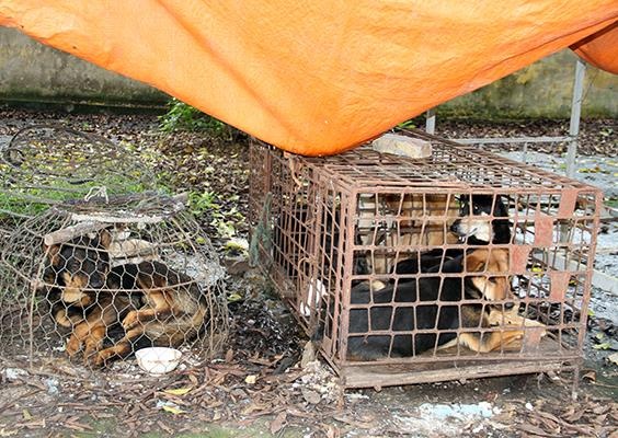 Nu chu nha bi khoi to vi de dan cho can chet be trai 7 tuoi hinh anh