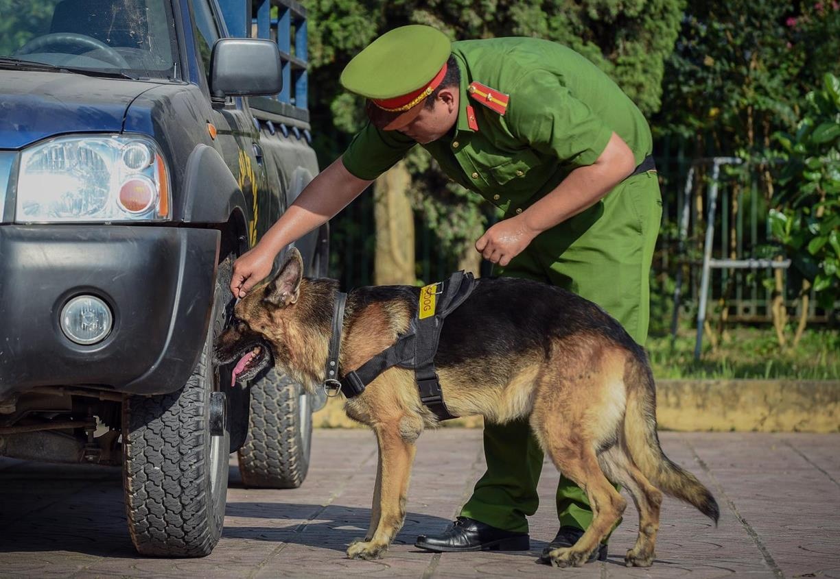 Canh khuyen Rex tham nhap sao huyet cua trum ma tuy hinh anh