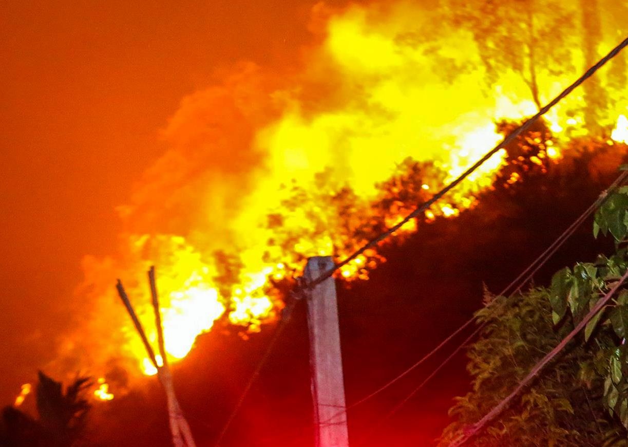 Tam giu nghi can gay chay rung phong ho Ha Tinh hinh anh