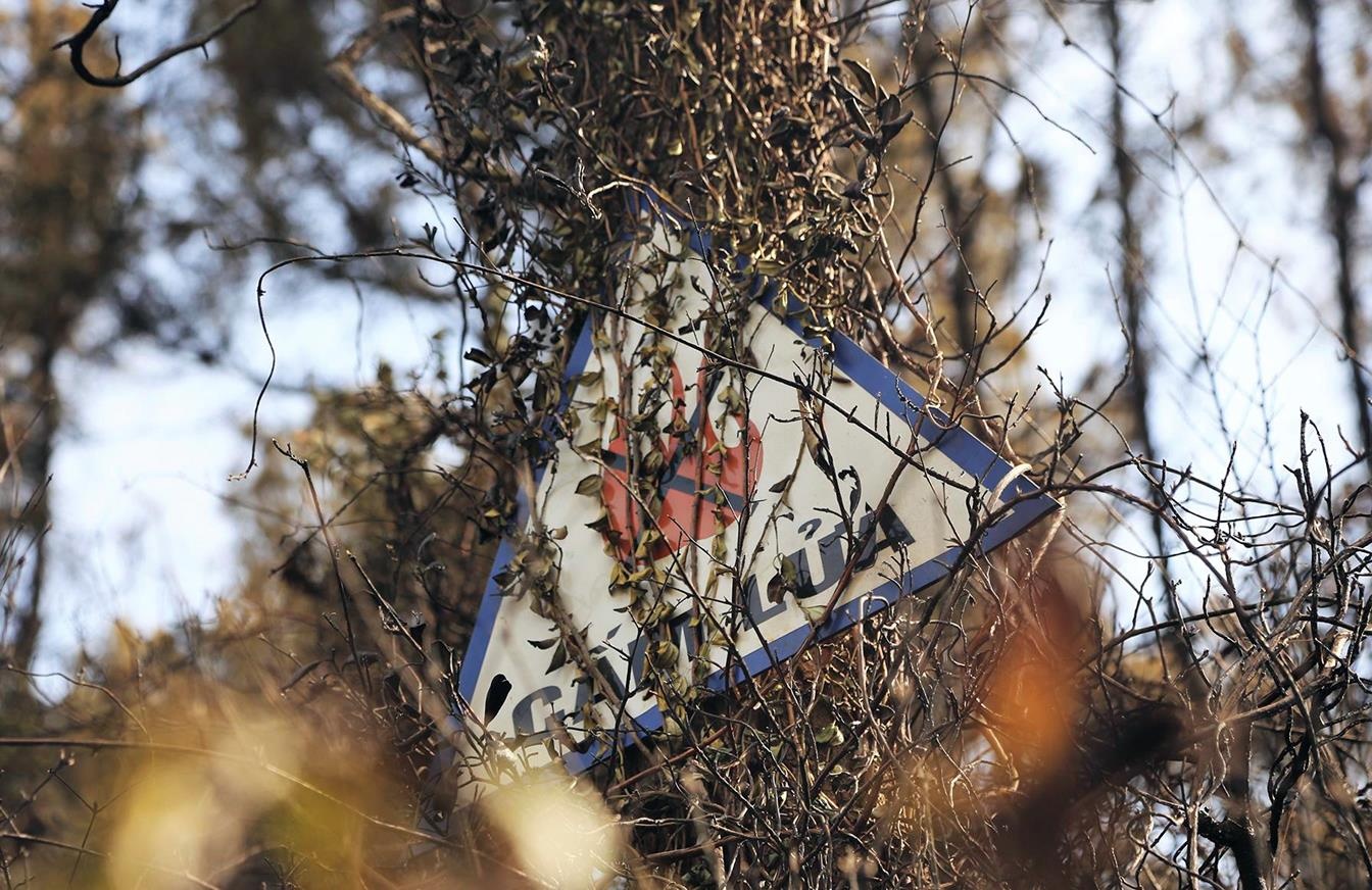 Đốt rác gây cháy rừng ảnh 2 Dot rac gay chay rung anh 2