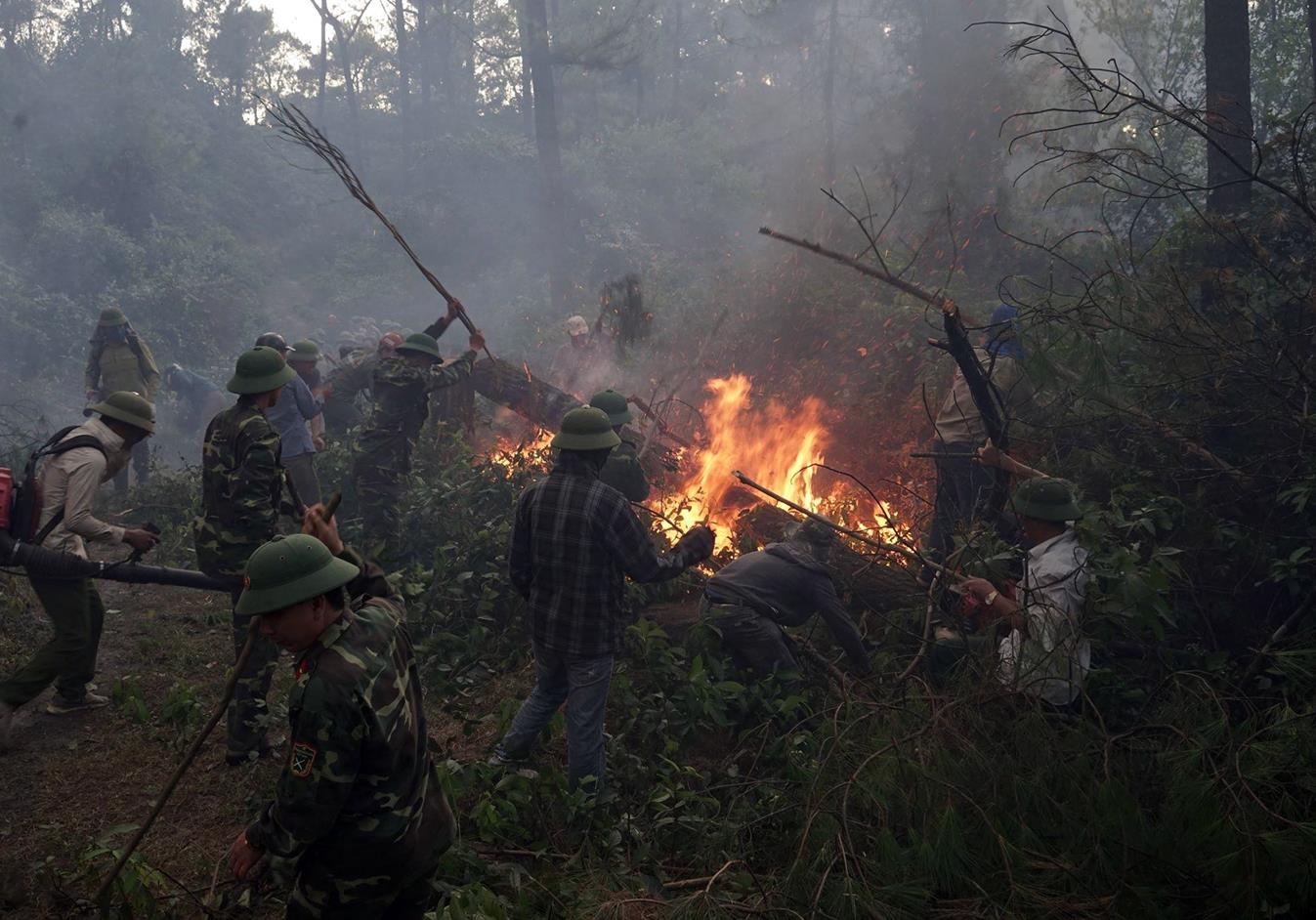 Đốt rác gây cháy rừng ảnh 3 Dot rac gay chay rung anh 3