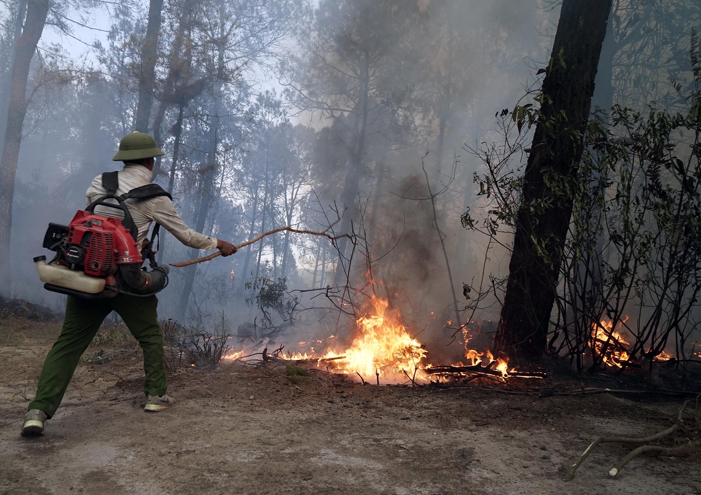 Dot rac gay chay rung anh 4