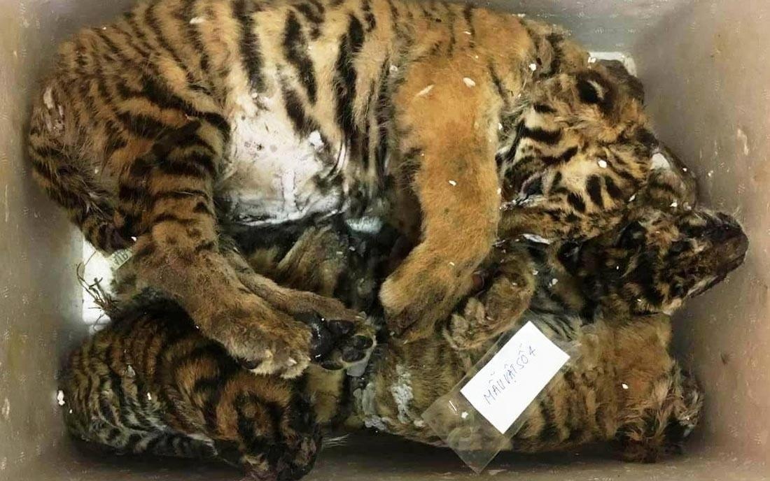 Bat giam doc cam dau duong day buon ban ho xuyen quoc gia hinh anh