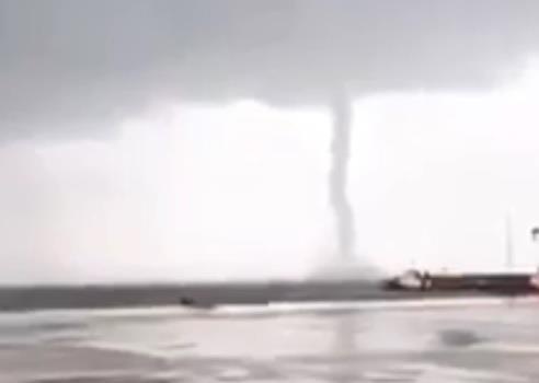 Voi rong xuat hien tren bien Ha Tinh hinh anh