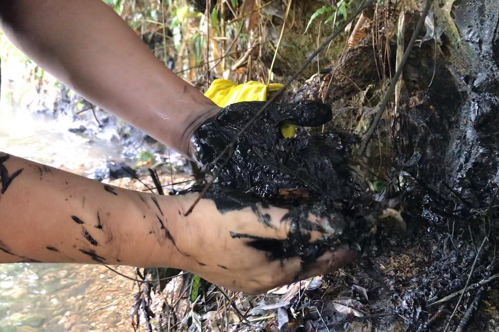 Trieu tap mot so nguoi nghi lien quan vu gay o nhiem nuoc sach song Da hinh anh