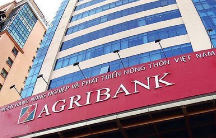 Cuu giam doc cua Agribank bi truy to hinh anh