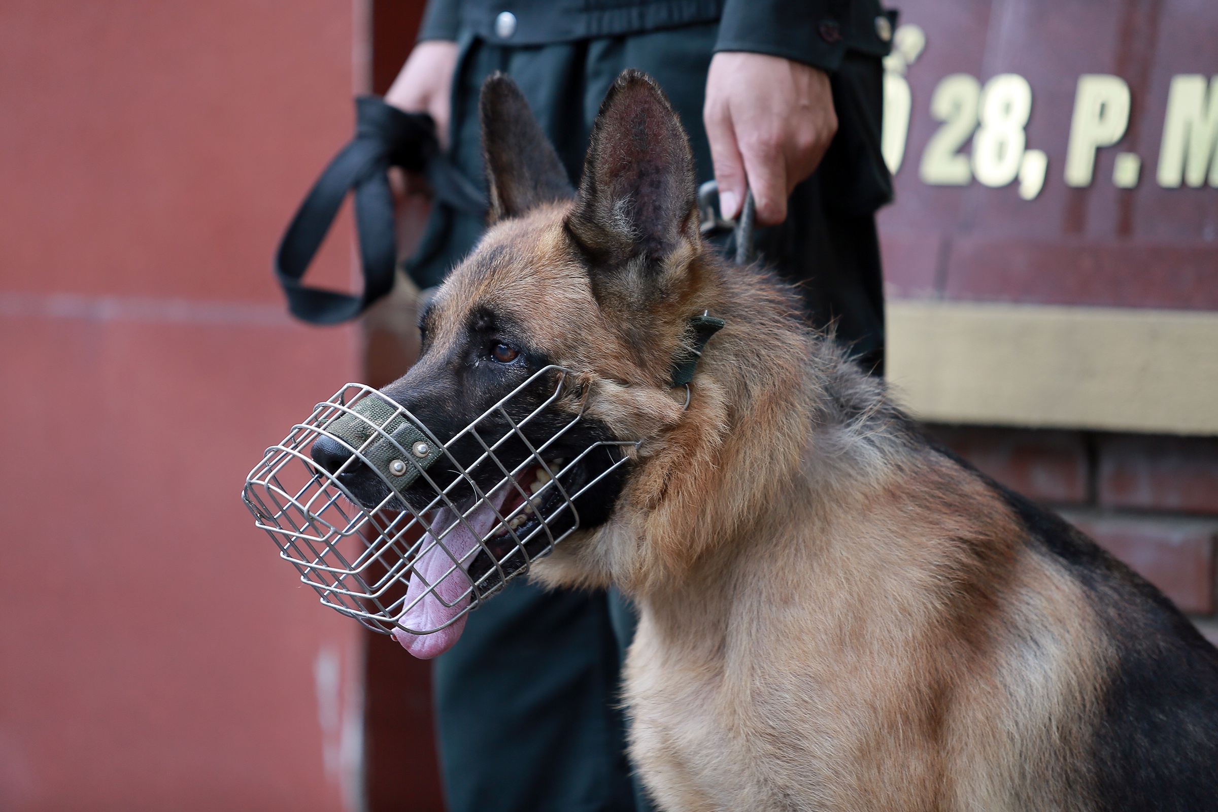 Canh sat, cho nghiep vu bao ve phien xu vu sat hai nu sinh giao ga hinh anh