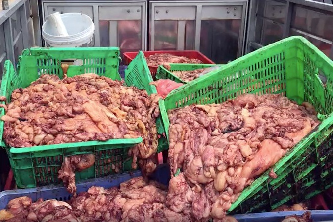 CSGT chan nu tai xe lai oto cho 1,5 tan mo lon ban hinh anh