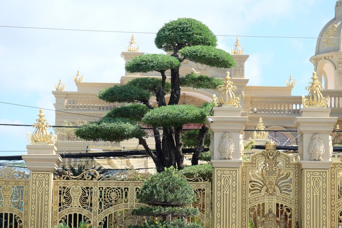 Lat lai vu an Thien 'Soi' cung can biet thu dat vang hinh anh