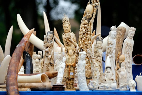 Truy to doanh nhan buon tuong lam bang nga voi hinh anh