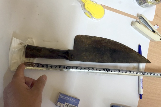 Thieu nien giet nu chu nha anh 2