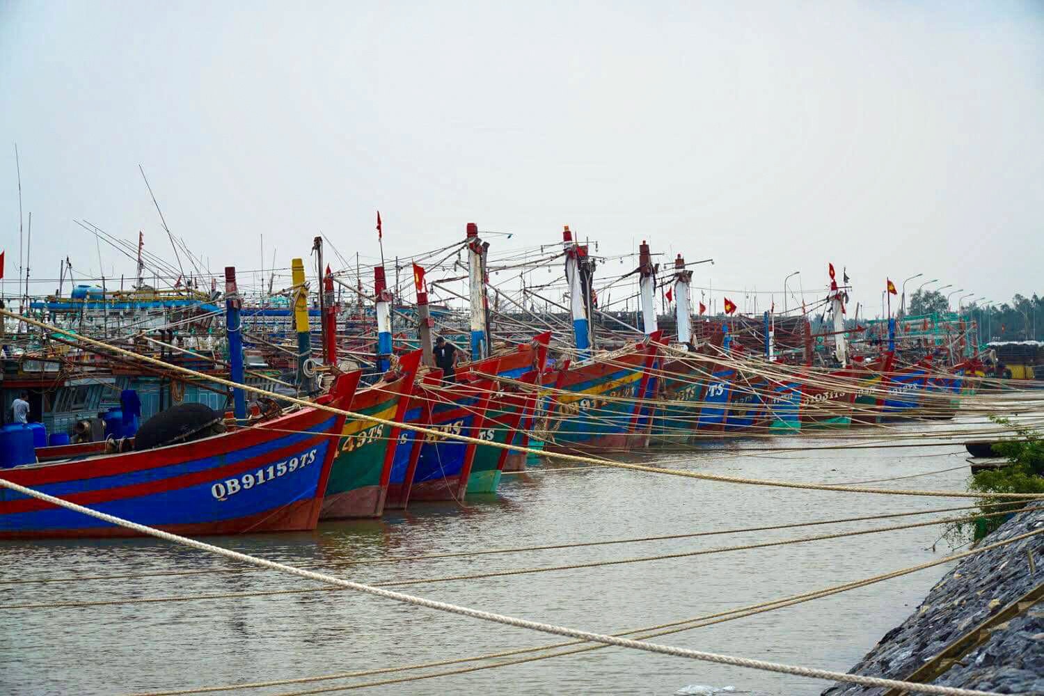 Bao so 13 do bo anh 7