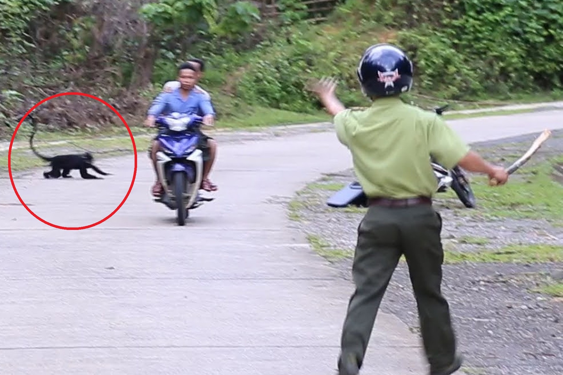 Dan vooc xong ra duong tan cong, nhieu nguoi bi can hinh anh