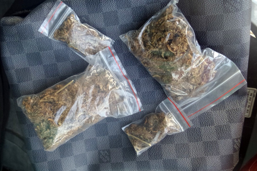 Trong cay can sa anh 2