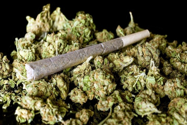 'Cho' can sa cong khai tren mang xa hoi hinh anh