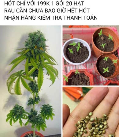 Rao ban can sa anh 3