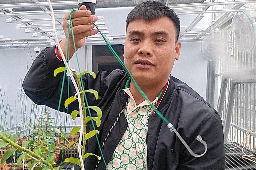 Ho so cong ty cua chu vuon lan bi bat vi buon lau than hinh anh