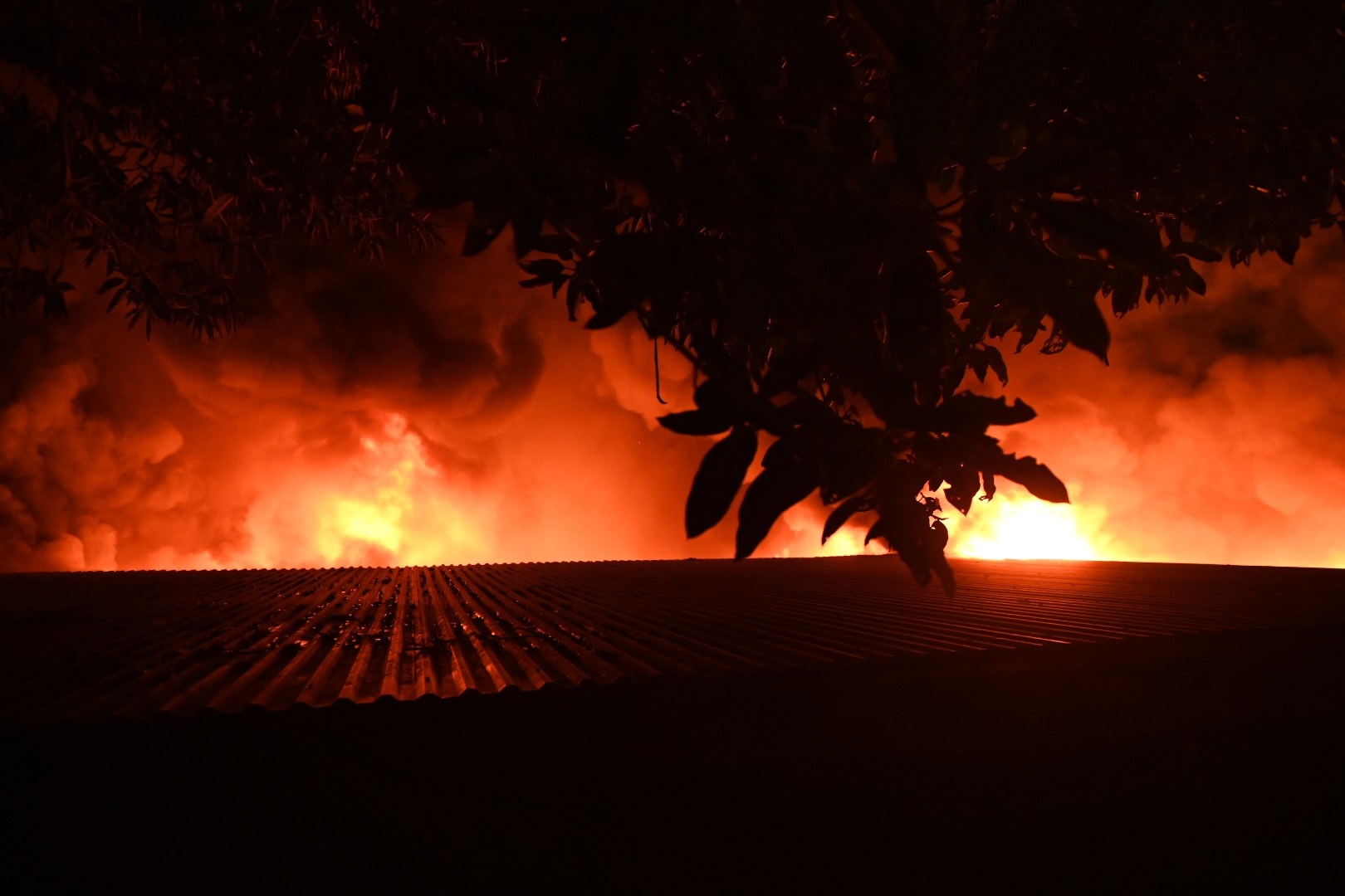 Chay cho vai Ninh Hiep anh 2