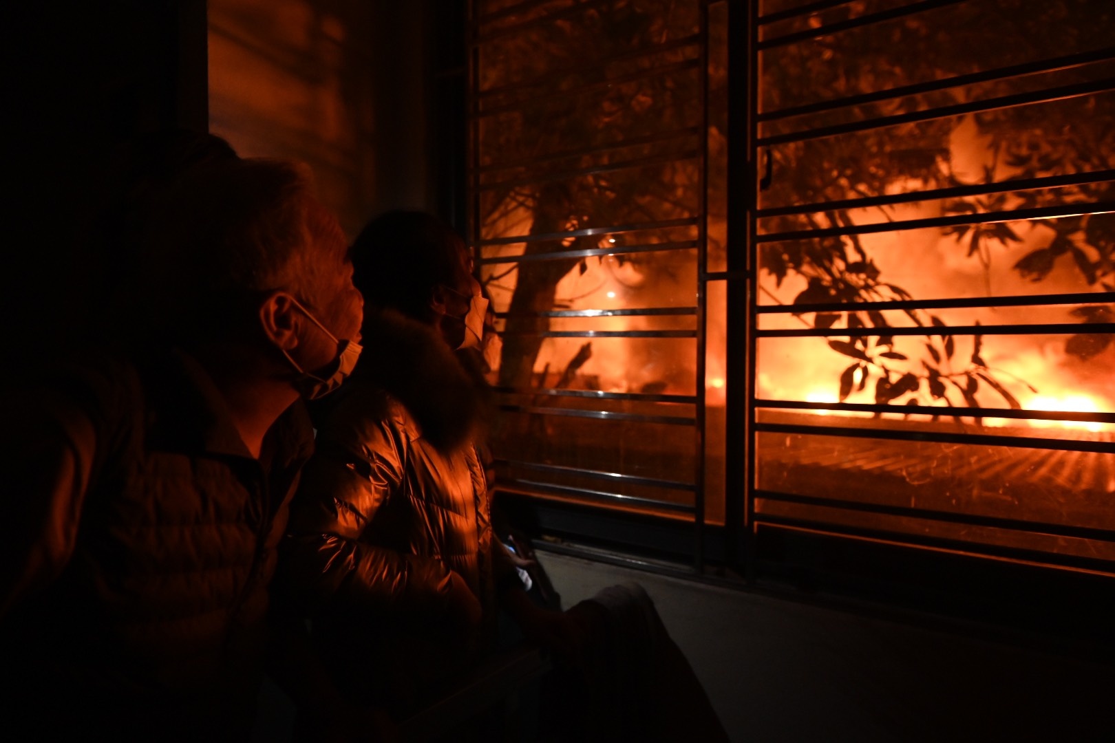 Chay cho vai Ninh Hiep anh 4