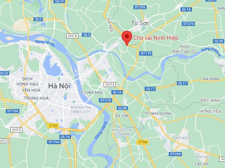 Chay cho vai Ninh Hiep anh 11