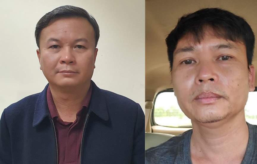 Nâng khống giá cây xanh ảnh 1 Nang khong gia cay xanh anh 1