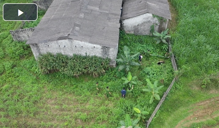 Bi an trong trang trai chan nuoi hinh anh