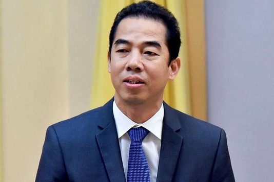 Thu truong Bo Ngoai giao To Anh Dung bi bat hinh anh