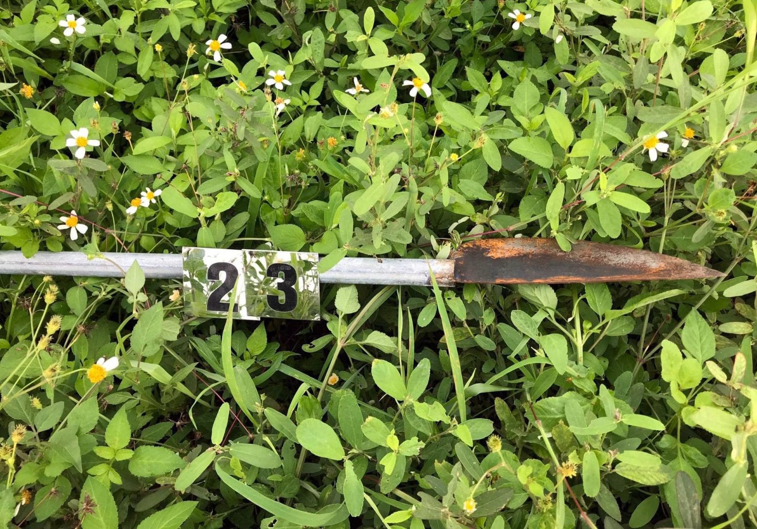 YouTuber Duy Thuong anh 1