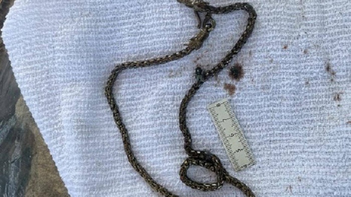 Truy tim tung tich thi the nam gioi troi dat tren song o Hai Duong hinh anh