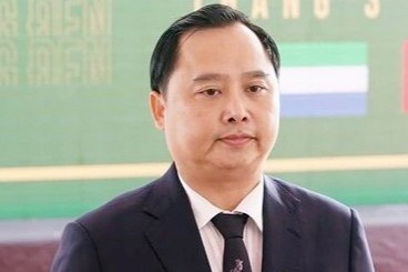 VKS yeu cau dieu tra bo sung hanh vi cua Chu tich Louis Holdings hinh anh
