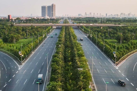 Bo Cong an yeu cau dinh gia cay xanh o Ha Noi hinh anh