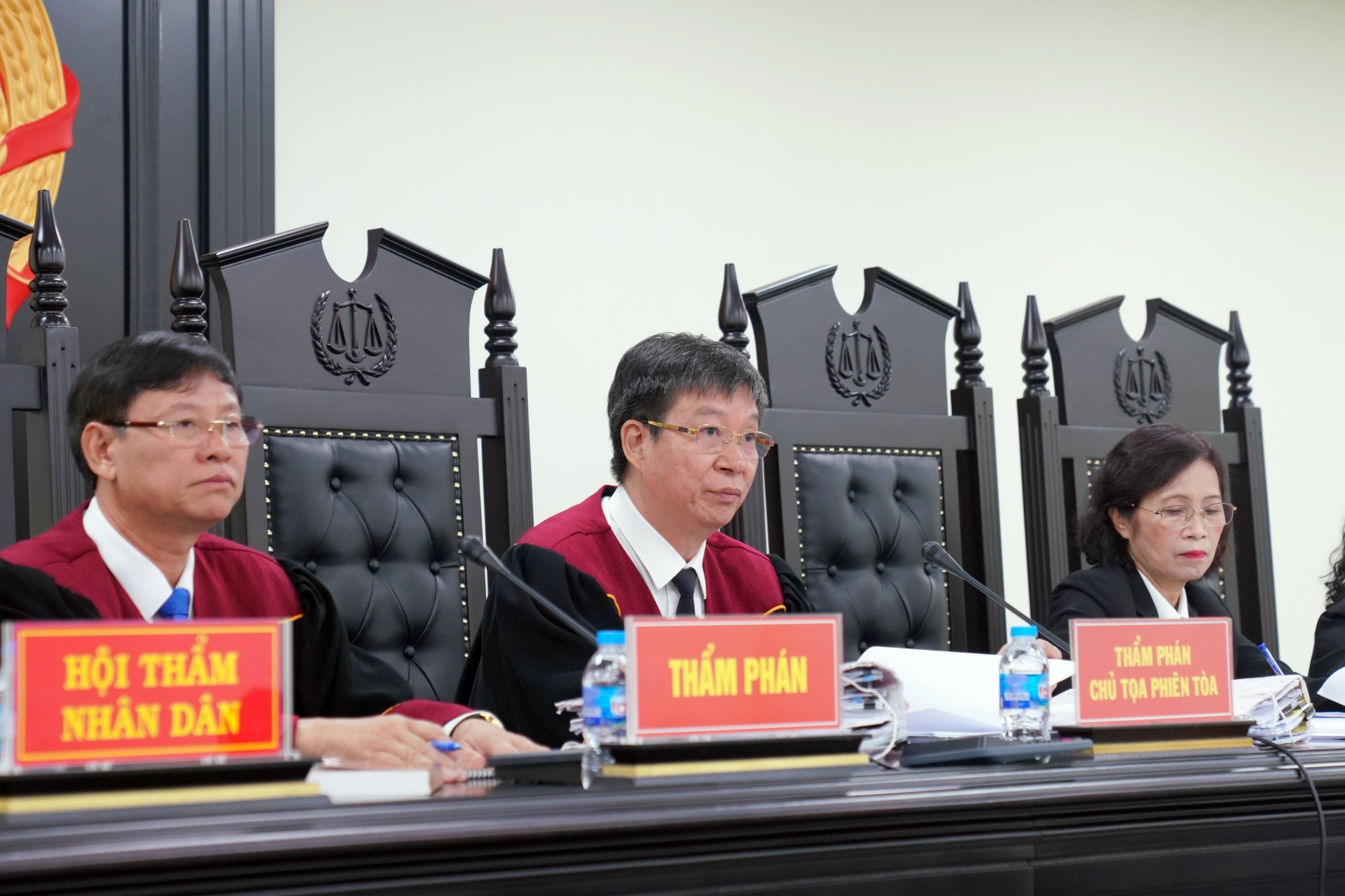 Nguyen Trung Huyen anh 2