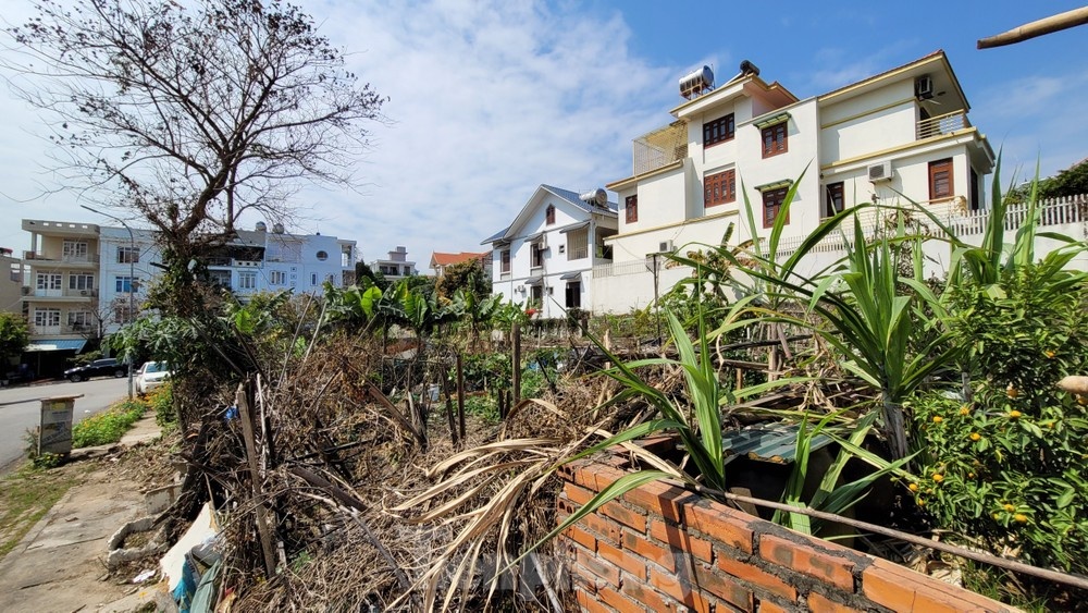 Ke bien 10 lo dat, thu hoi hang chuc ty trong vu dau thau o Quang Ninh hinh anh