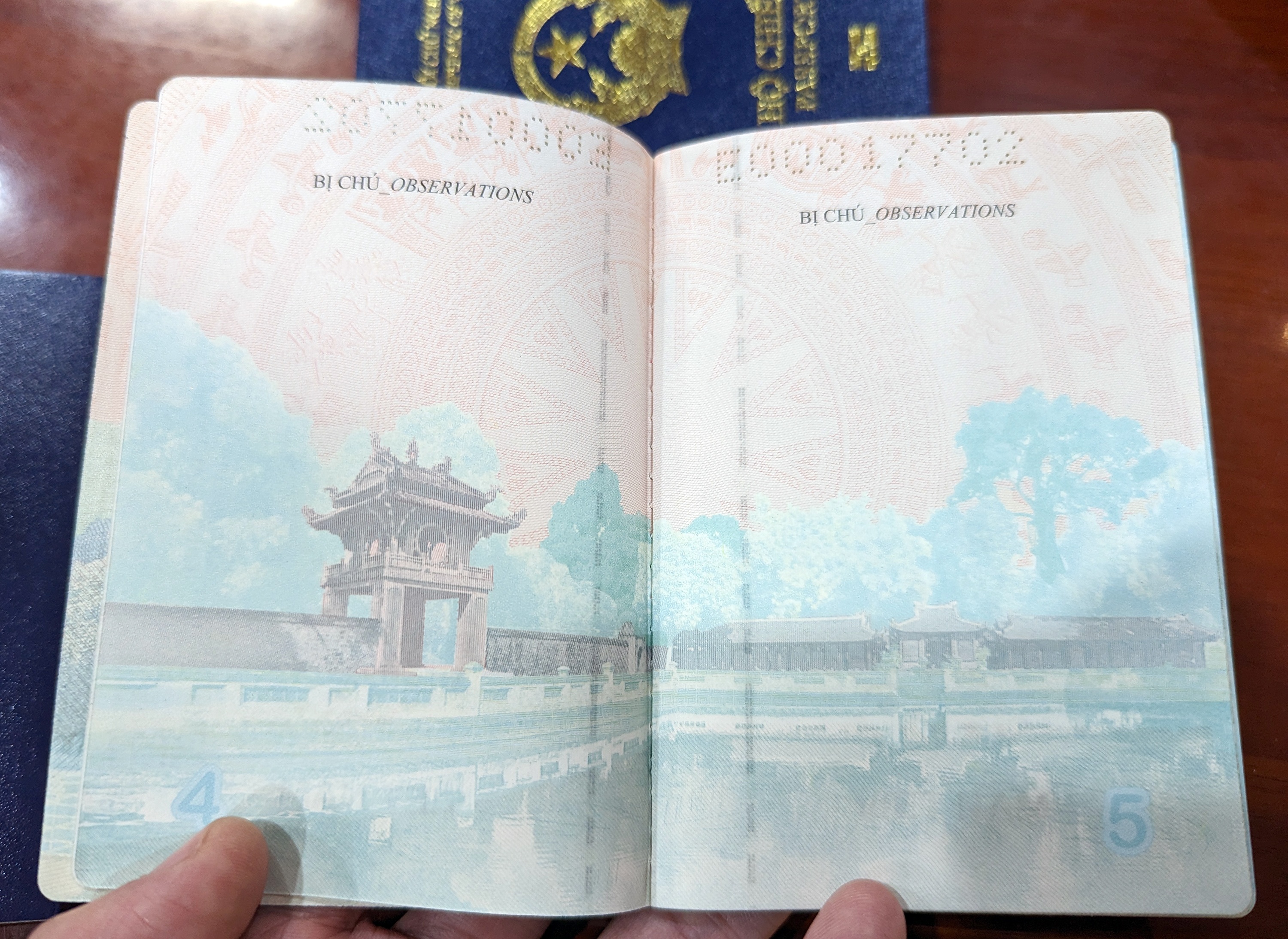 Ho chieu gan chip anh 7