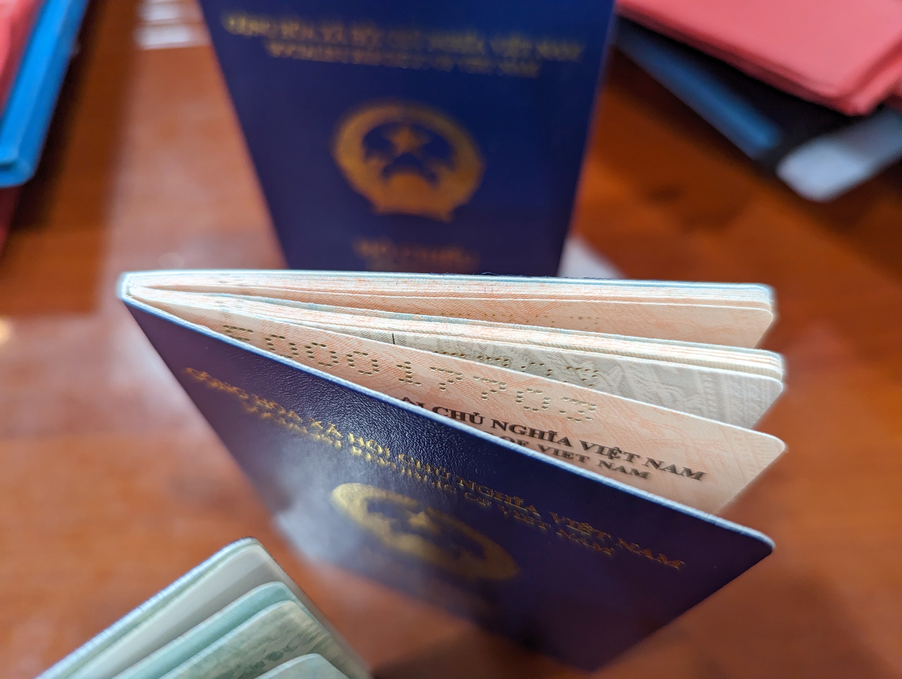 Ho chieu gan chip anh 9