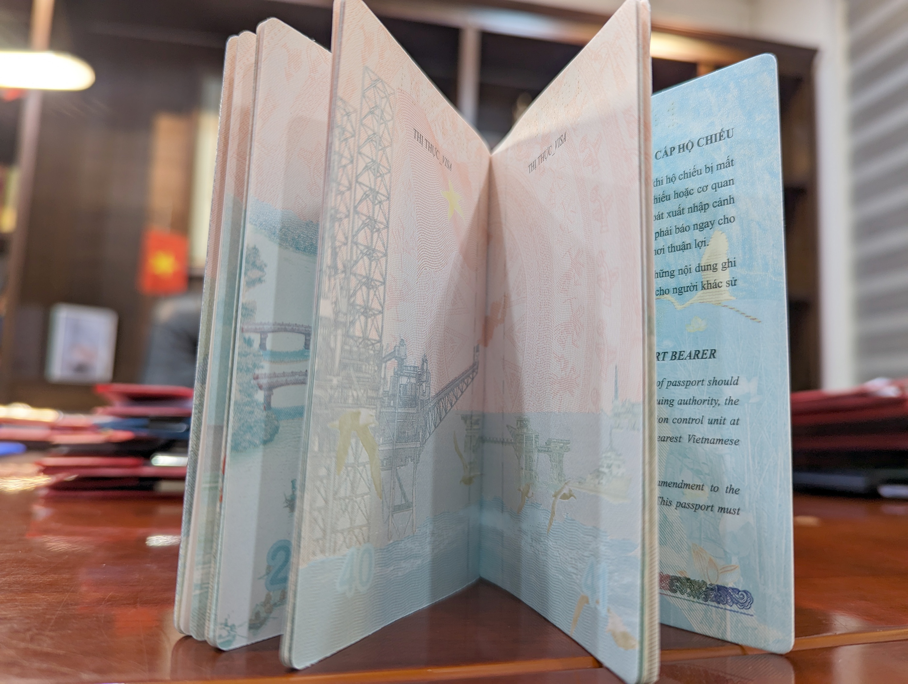 Ho chieu gan chip anh 10