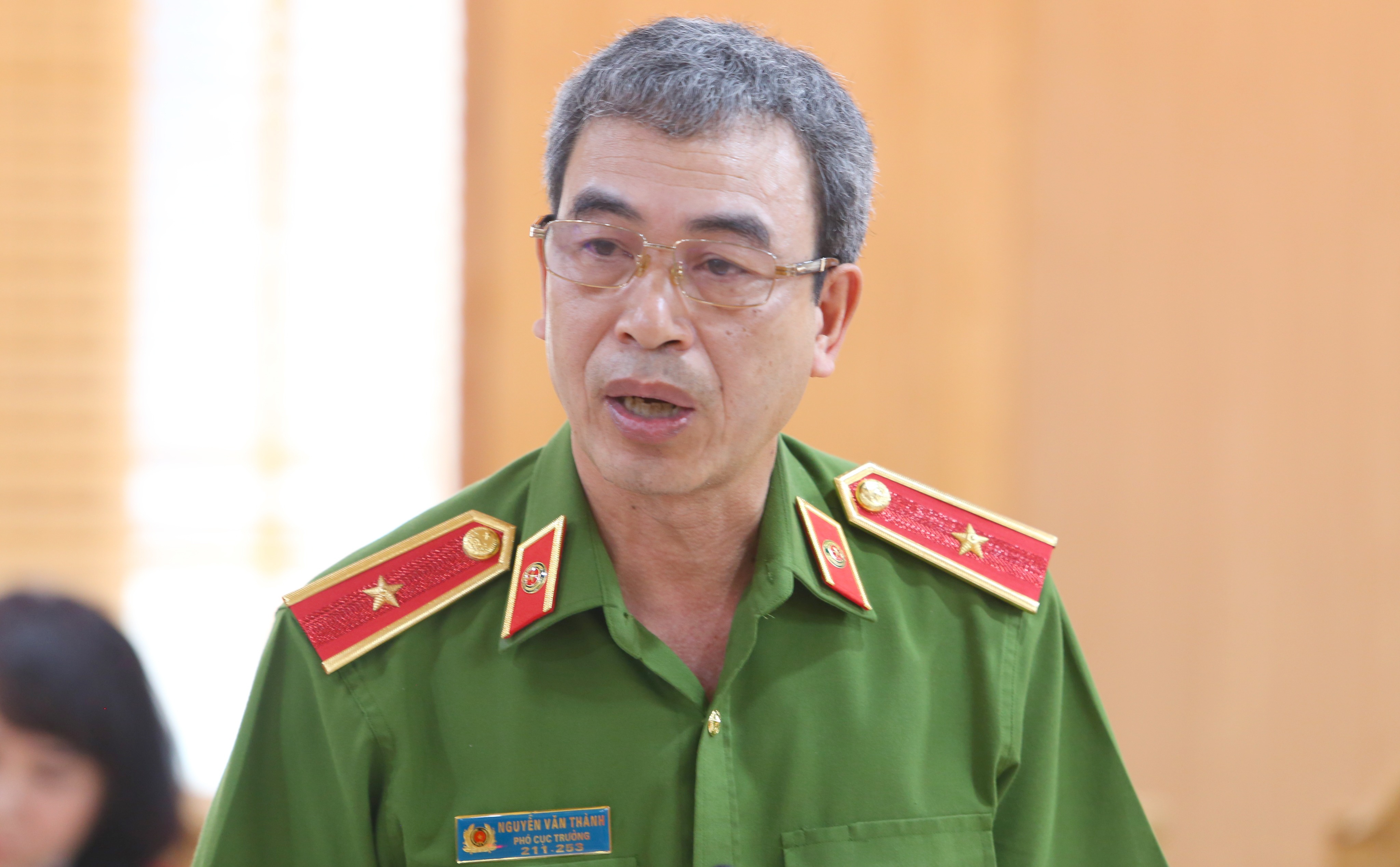 Trương Mỹ Lan ảnh 1 Truong My Lan anh 1