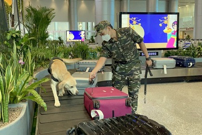 Ma tuy giau trong qua bieu tuon qua san bay Tan Son Nhat hinh anh