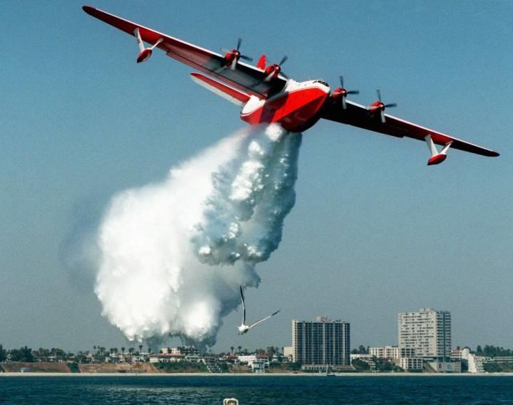 Phap ta hoa voi 'ke' dap lua Nha tho Duc Ba Paris cua TT Trump hinh anh