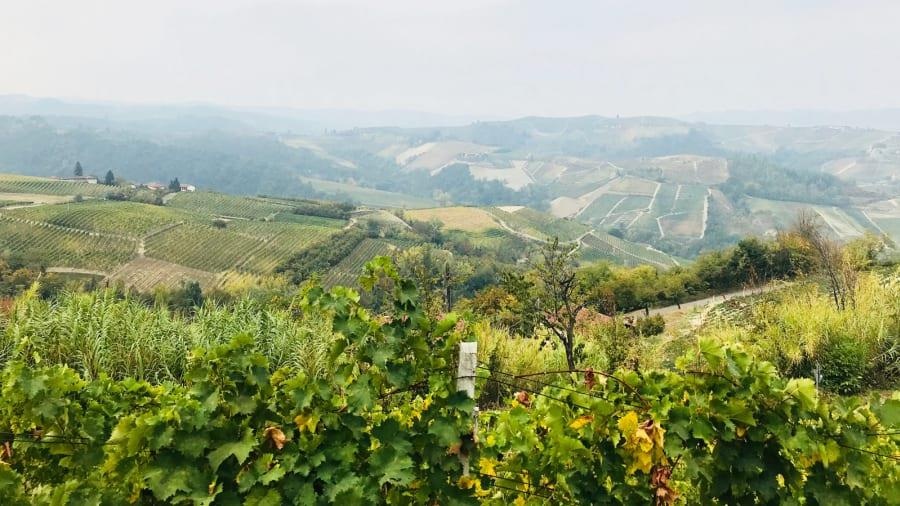 Làng ma thuật Paroldo ảnh 1 Lang ma thuat Paroldo anh 1